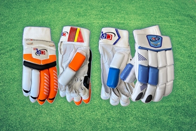 Premium Cricket Batting Gloves